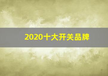 2020十大开关品牌