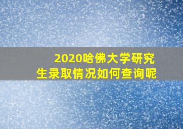 2020哈佛大学研究生录取情况如何查询呢