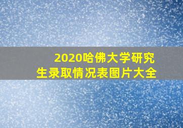 2020哈佛大学研究生录取情况表图片大全