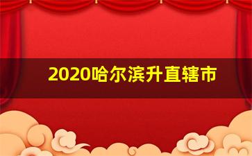 2020哈尔滨升直辖市