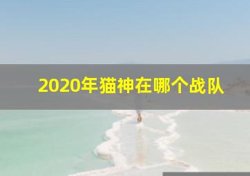 2020年猫神在哪个战队