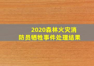 2020森林火灾消防员牺牲事件处理结果