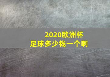 2020欧洲杯足球多少钱一个啊