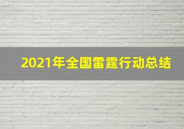 2021年全国雷霆行动总结