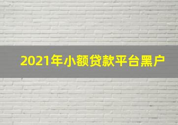 2021年小额贷款平台黑户