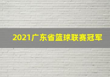 2021广东省篮球联赛冠军