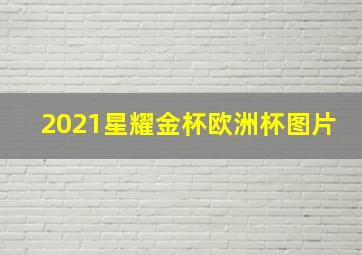 2021星耀金杯欧洲杯图片