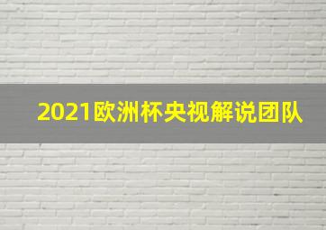 2021欧洲杯央视解说团队