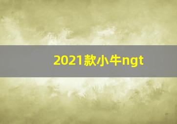 2021款小牛ngt