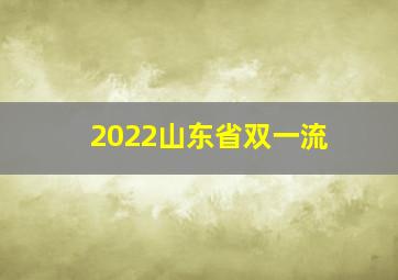 2022山东省双一流