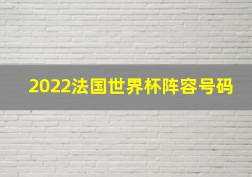 2022法国世界杯阵容号码