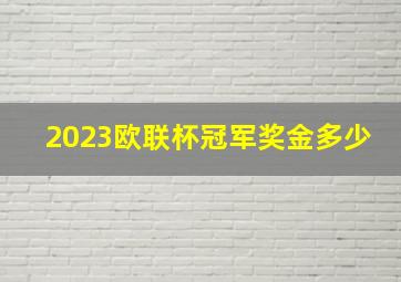 2023欧联杯冠军奖金多少