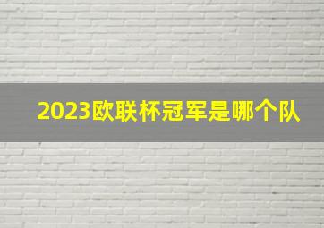 2023欧联杯冠军是哪个队