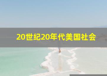 20世纪20年代美国社会