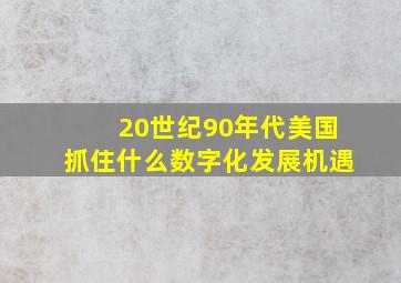 20世纪90年代美国抓住什么数字化发展机遇