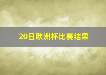 20日欧洲杯比赛结果