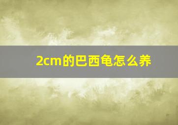 2cm的巴西龟怎么养