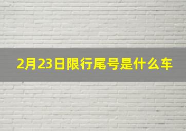 2月23日限行尾号是什么车