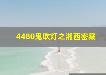 4480鬼吹灯之湘西密藏