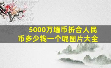 5000万缅币折合人民币多少钱一个呢图片大全