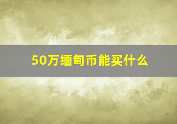 50万缅甸币能买什么