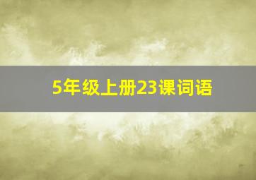 5年级上册23课词语