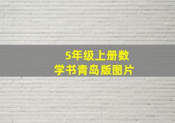 5年级上册数学书青岛版图片