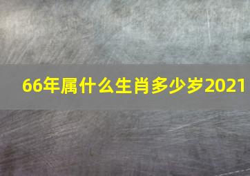 66年属什么生肖多少岁2021