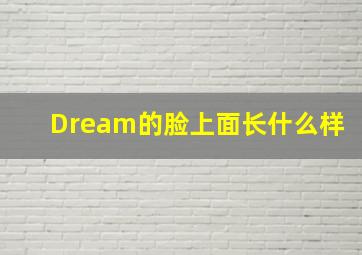 Dream的脸上面长什么样