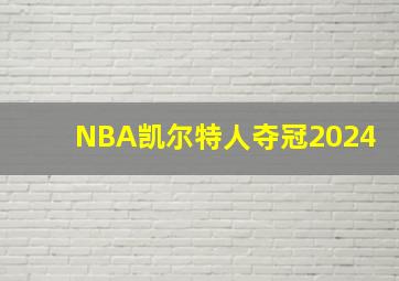 NBA凯尔特人夺冠2024