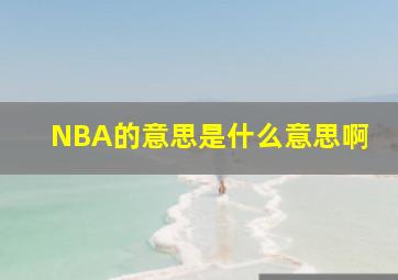 NBA的意思是什么意思啊