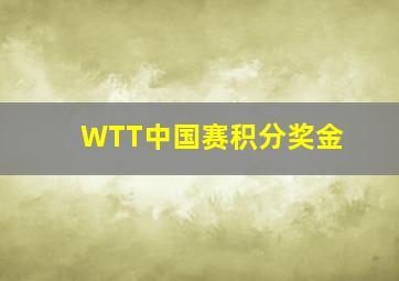 WTT中国赛积分奖金