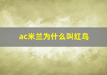 ac米兰为什么叫红鸟