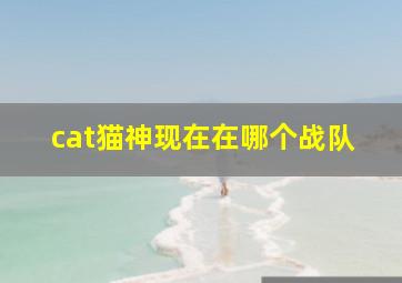 cat猫神现在在哪个战队