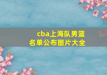 cba上海队男篮名单公布图片大全