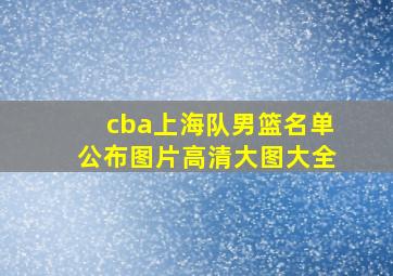 cba上海队男篮名单公布图片高清大图大全