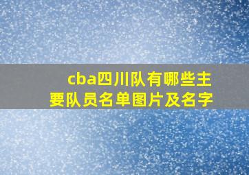 cba四川队有哪些主要队员名单图片及名字