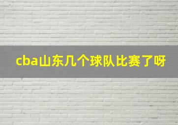 cba山东几个球队比赛了呀