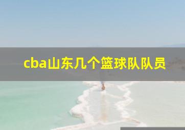 cba山东几个篮球队队员