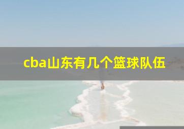 cba山东有几个篮球队伍