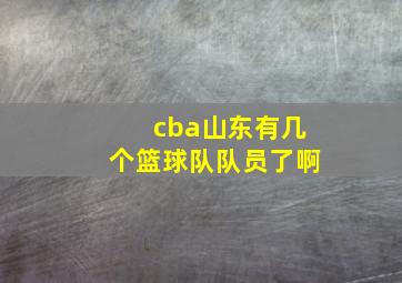 cba山东有几个篮球队队员了啊