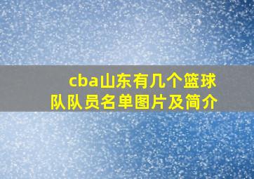 cba山东有几个篮球队队员名单图片及简介