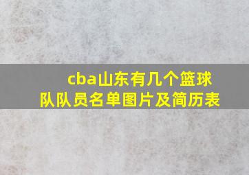 cba山东有几个篮球队队员名单图片及简历表