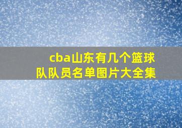 cba山东有几个篮球队队员名单图片大全集