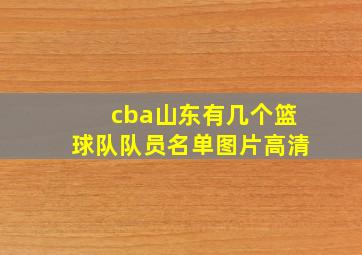 cba山东有几个篮球队队员名单图片高清