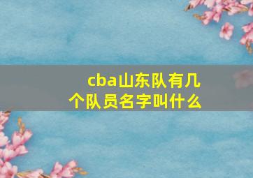 cba山东队有几个队员名字叫什么