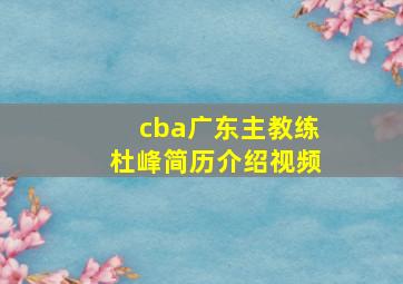 cba广东主教练杜峰简历介绍视频