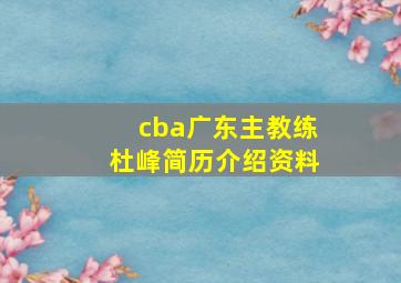 cba广东主教练杜峰简历介绍资料