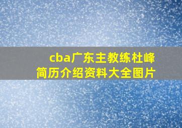 cba广东主教练杜峰简历介绍资料大全图片