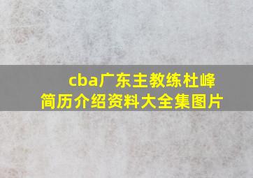 cba广东主教练杜峰简历介绍资料大全集图片